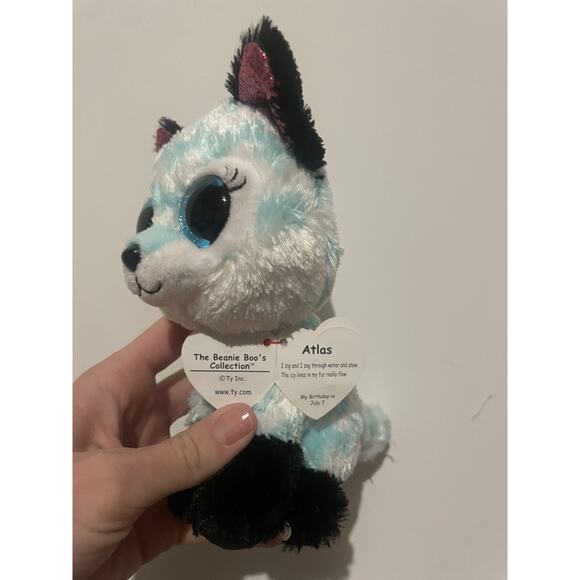 Atlas Fox TY Beanie Boo‎ Childrens Plush Soft Toy Collectible Gift 15cm - Picture 5 of 5